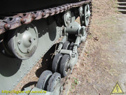 IMG-6511