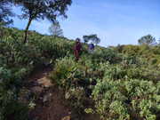 IMG-20260124-104639765-HDR