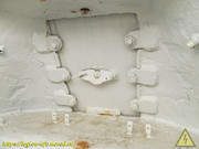 IMG-3446