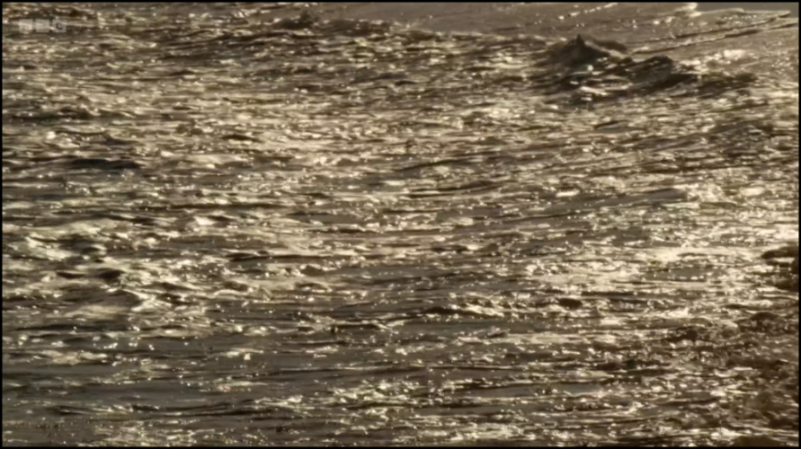 [Image: v5a00nuiqjf5.png]