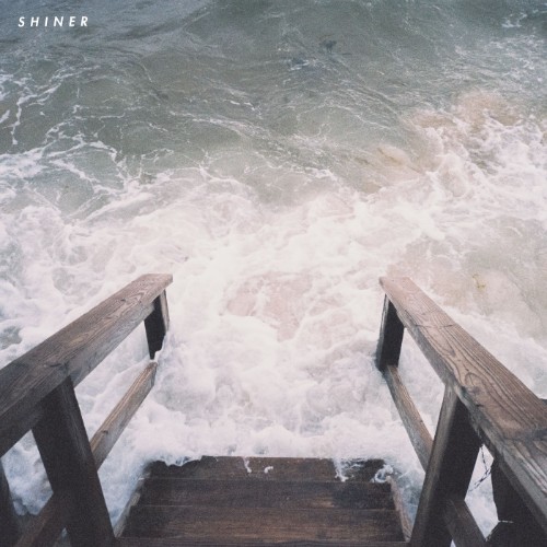 00-shiner-the-y-section-web-2026-fkk.jpg