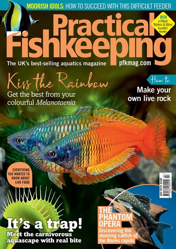 Practical-Fishkeeping-July-2019.jpg