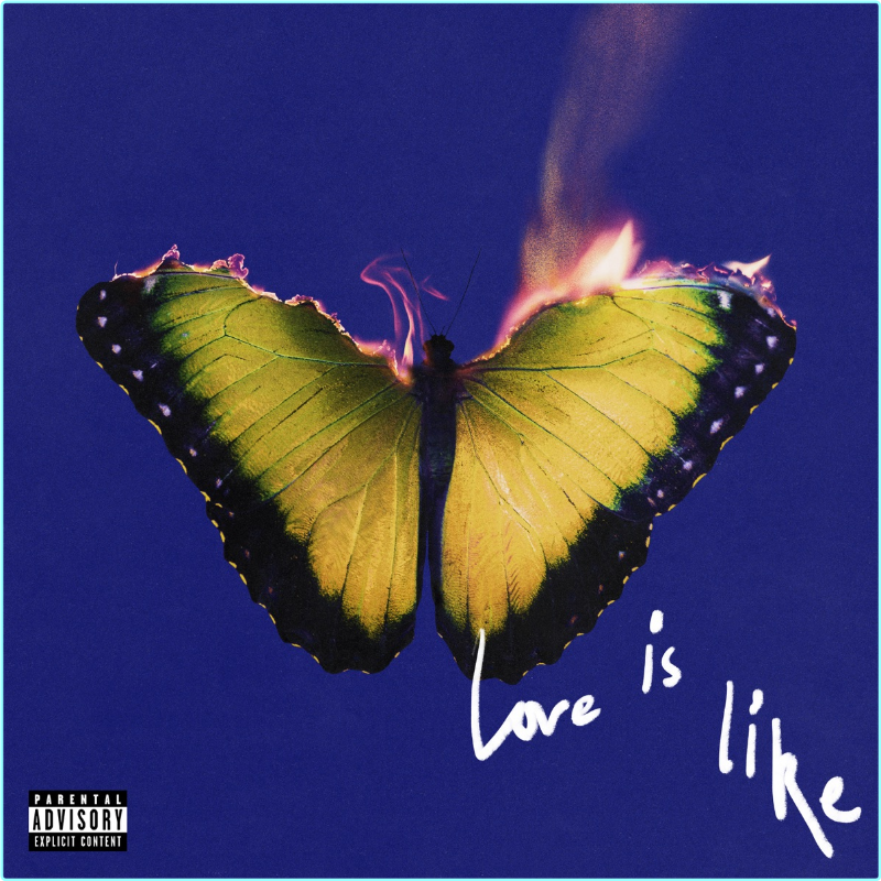 [Image: dpt4an9ao41w.png]