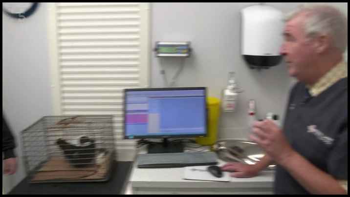 [Image: ssi9tl4wle84.png]