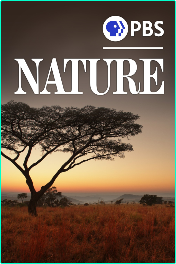 [Image: 0a7dvjc8cwo3.png]