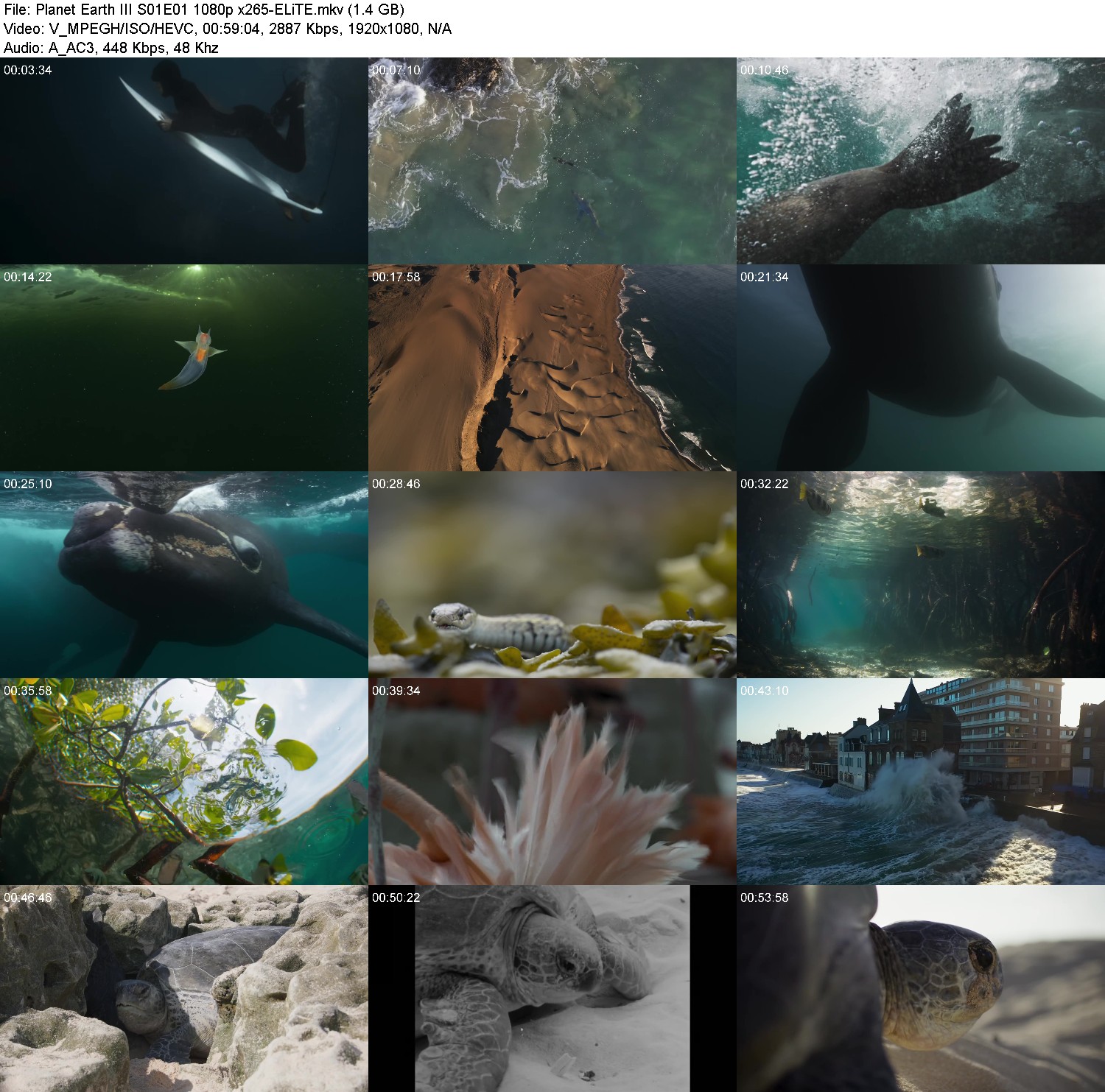 [Image: 46b7ynkkew5f.jpg]