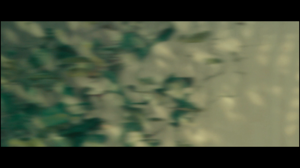 vhkv7jva302r.png