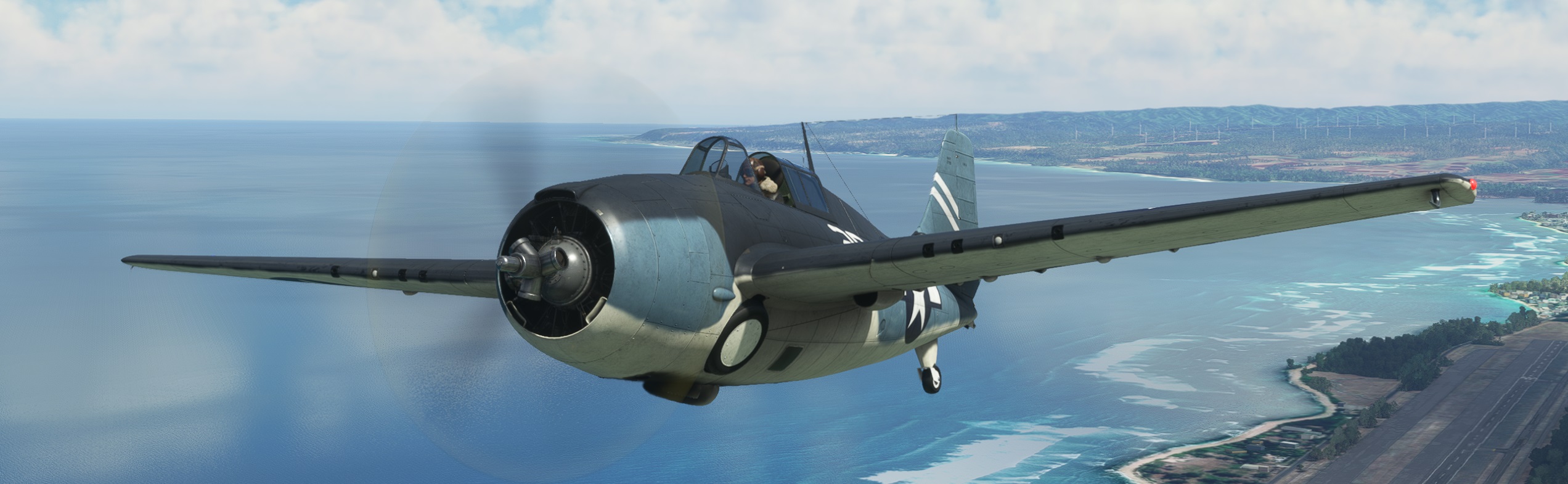 Difficult-wildcat-dilligham.jpg