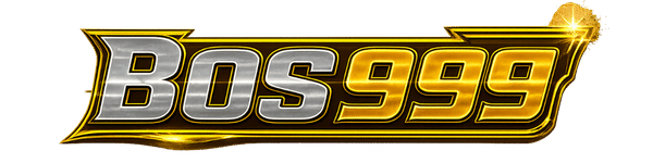 vs-logo-img
