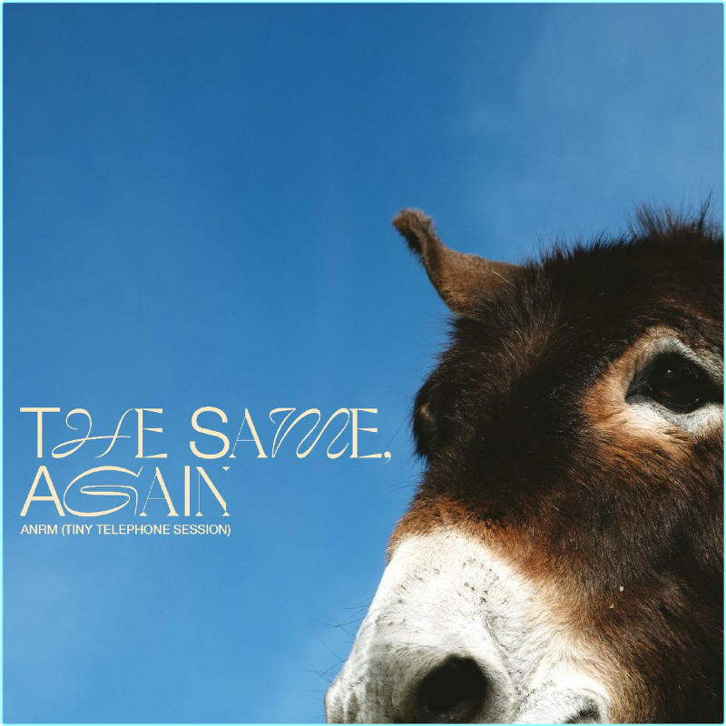 Madeline Kenney (2023) [FLAC 2644 Kbps] – (671 MB)