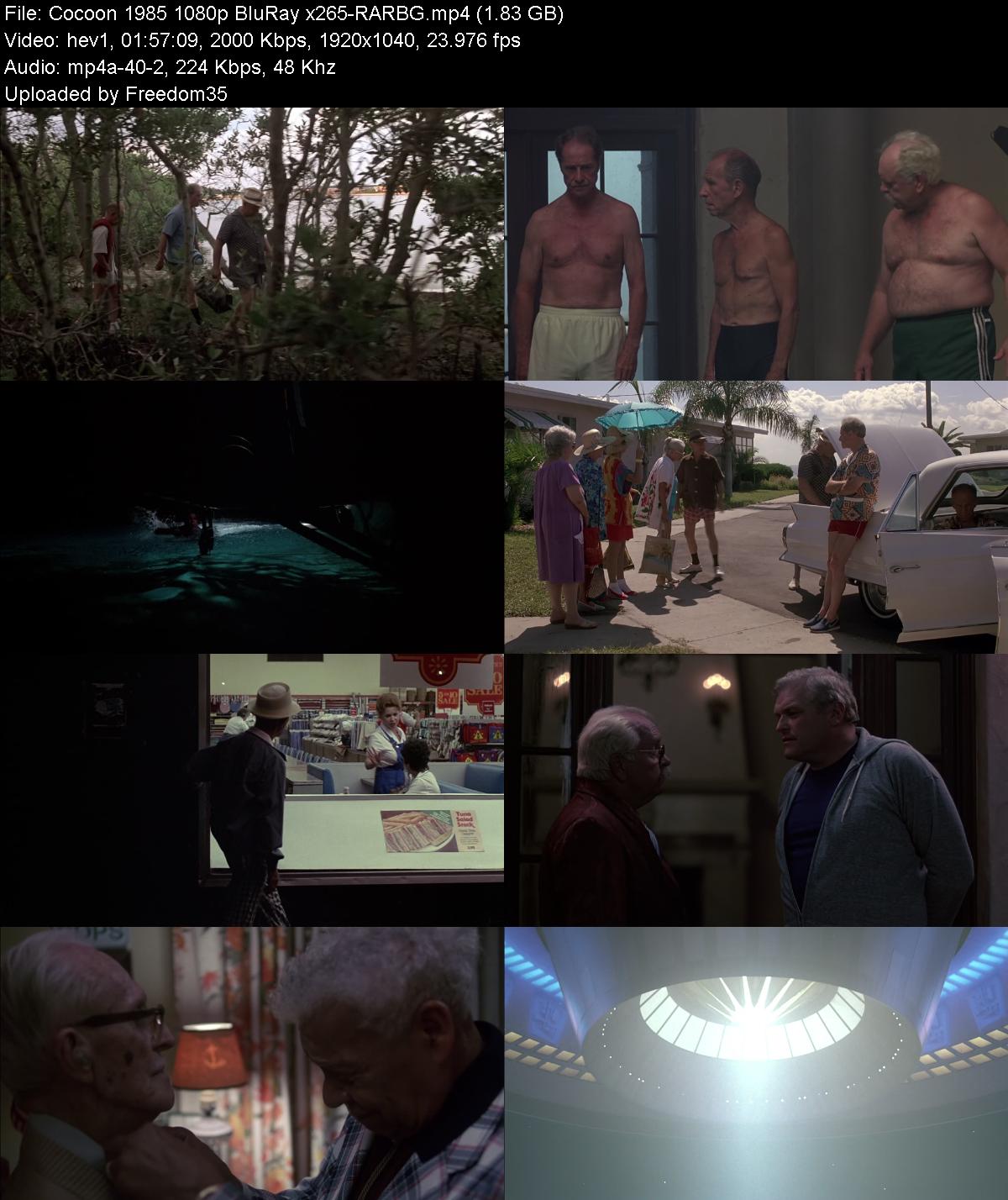 Cocoon-1985-1080p-Blu-Ray-x265-RARBG.jpg