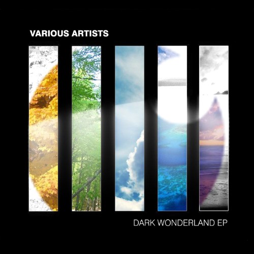 VA-Dark-Wonderland-EP-FOKUZ376-WEB-2026-