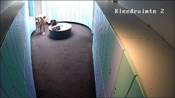 [Image: Voyeur21745082844.jpg]