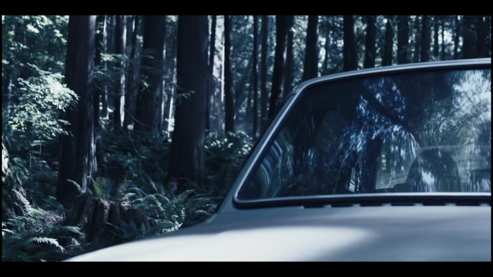 [Image: p307pveoul7l.png]