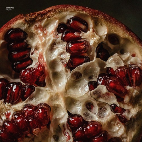 00-dj-maybe-fruits-xr756-web-2026-cover.