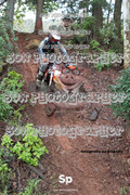 IMG-0332