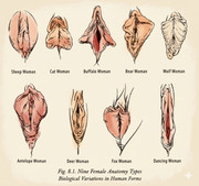 G5Hzcqgb IAA2s L0 format jpg name medium