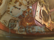 28061069-10215552760797357-8636541136192129926-o