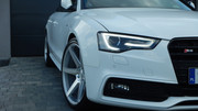 DSCN4585.jpg