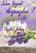https://i.postimg.cc/BL37NS4p/FB-IMG-1722479124963.jpg