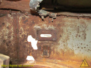IMG-6404