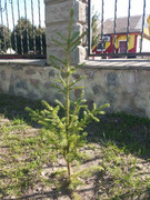 зображення_viber_2021-04-28_09-42-53