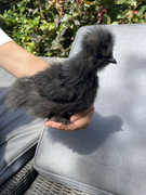 AA964C40-BEFC-442C-9F62-4A1B4D9EB0C4