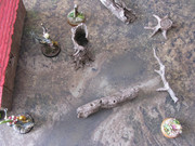 IMG-9402