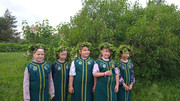 IMG-20250606-113241