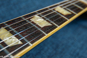 MG-9509