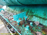 DSCN5072