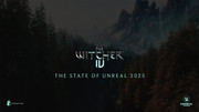 the-witcher-4.jpg