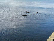 IMG20250101001927