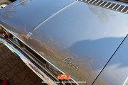 IMG-7373