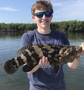 [Image: Nov-2024-Greyson-Grouper.jpg]