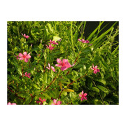 photo 8 2026 01 10 16 02 59