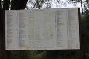 IMG-2934