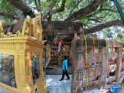 BBG&B13ByeBodhGaya - 12