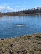 PXL 20260207 124953219