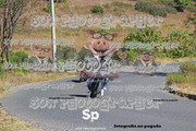 IMG-2532