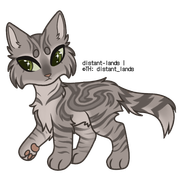 grey sokoke tabby