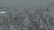 Wo-WScrn-Shot-121917-102257