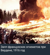 https://i.postimg.cc/BLZJxjSF/photo-2026-07-04-16-17-29.jpg