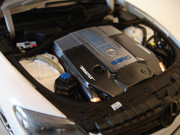 DSC00137.jpg