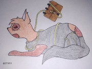 135273571_864213751088660_7529