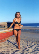 ingrid-pitt-c03