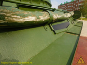 DSCN5253