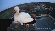 Kép