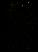 202601_diff_dt_4g