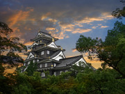 [Image: DSC02075-2.jpg]